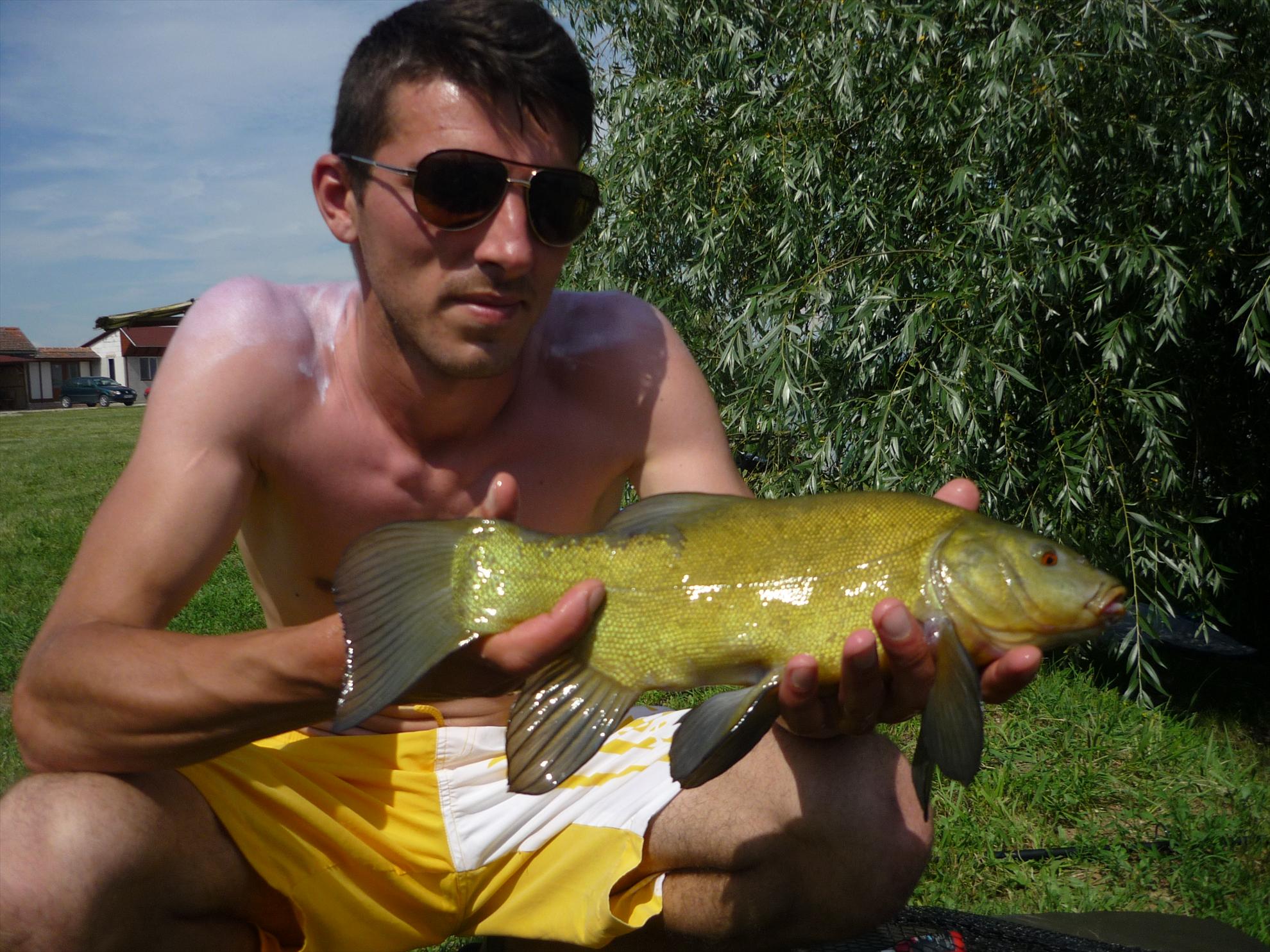 turulung - p1050538.JPG